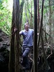 Lava tube cave - Banyan Tree Roots
